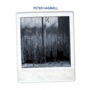 Peter Hammill - From the Trees